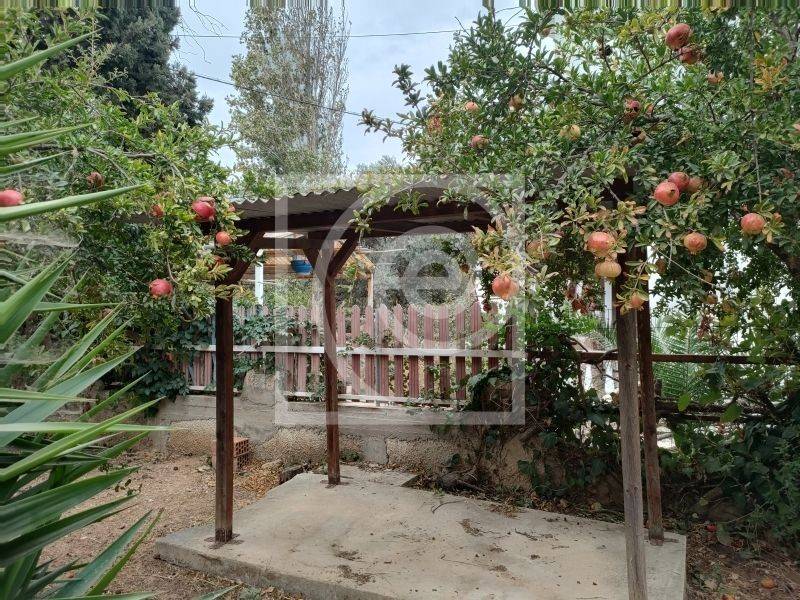 Ύπαρξη ανθρώπου