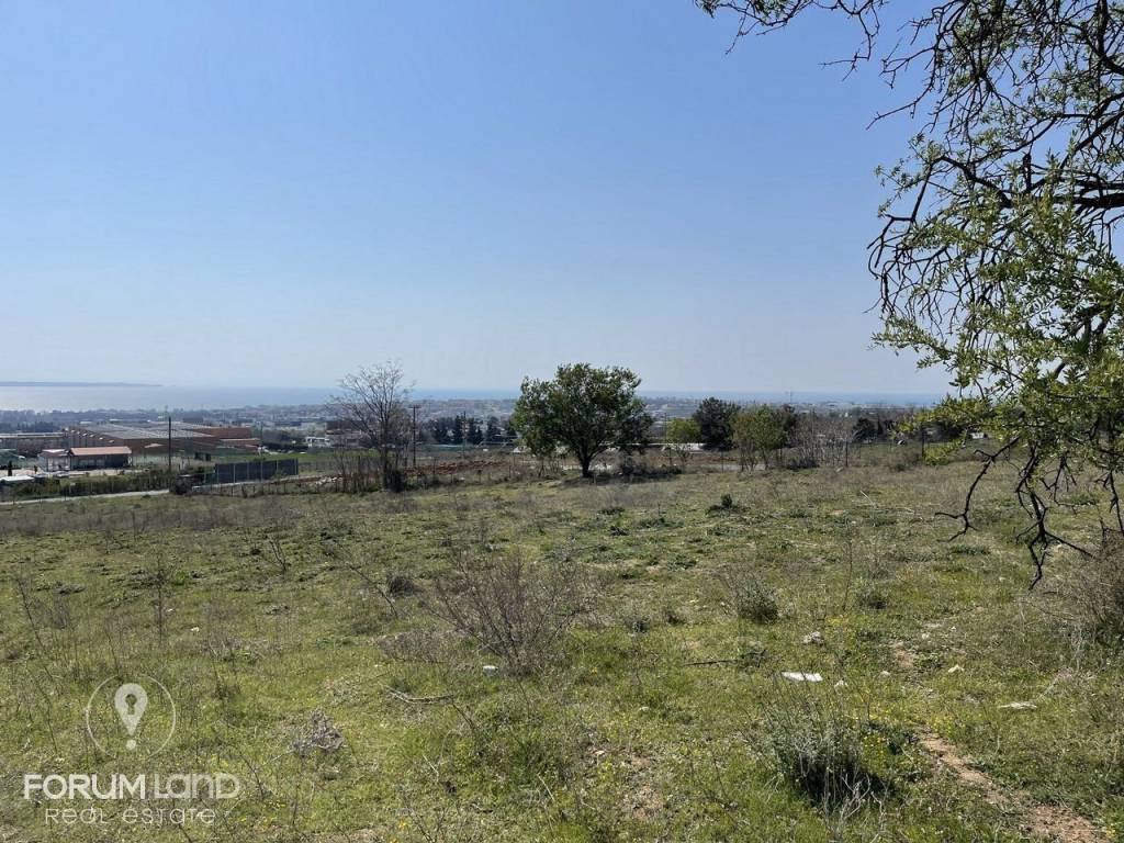 Forumland Real Estate, Αγροτεμάχιο