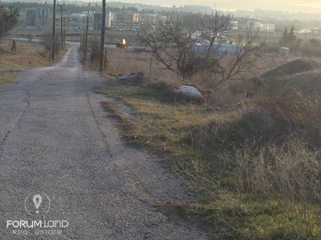 Forumland Real Estate, αγροτεμάχιο 4.000τμ