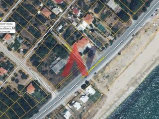 Στιγμιότυπο οθόνης 2025-07-05 115700.png