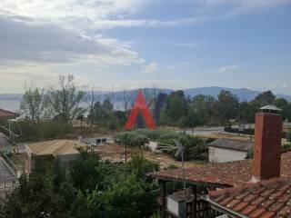 1000008662 - Αντιγραφή.jpg