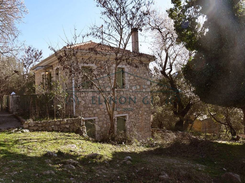 Η παραδοσιακή μονοκατοικία