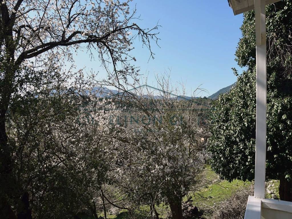 Η θέα από το μπαλκόνι