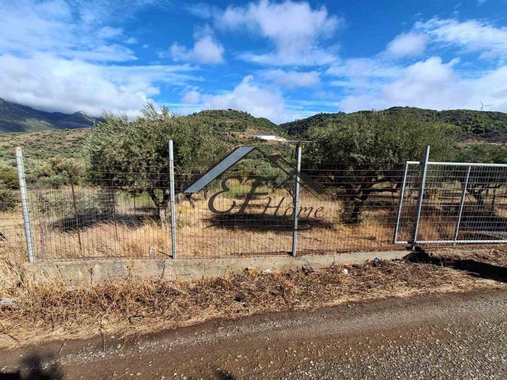 Άποψη οικοπέδου