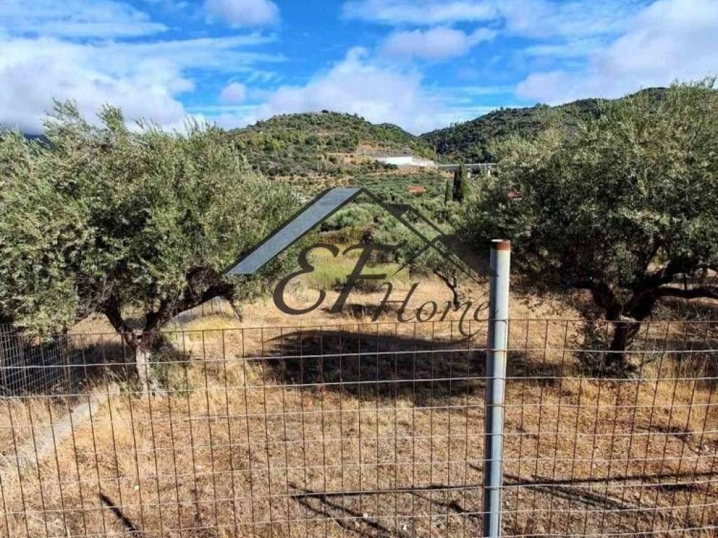 Άποψη οικοπέδου