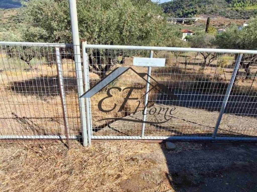 Άποψη οικοπέδου