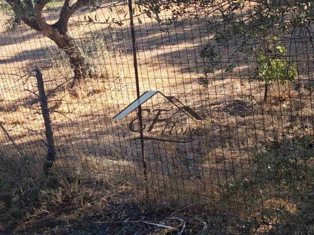 Άποψη οικοπέδου