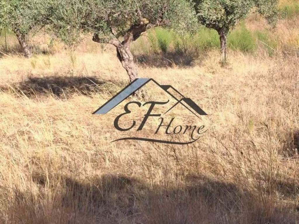 Άποψη οικοπέδου