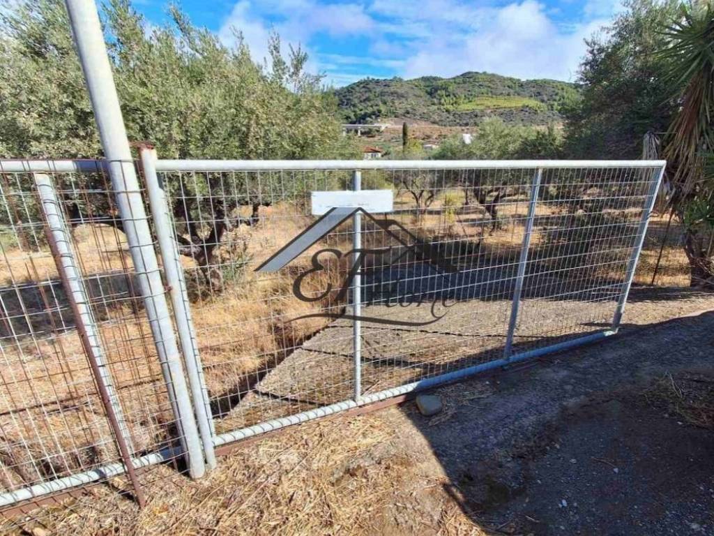 Άποψη οικοπέδου