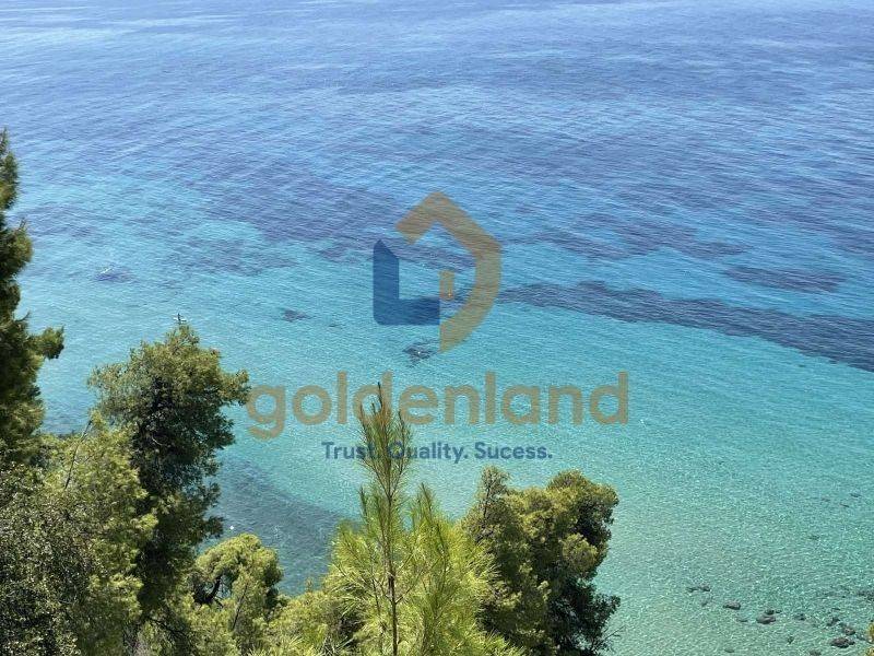 Ύπαρξη ανθρώπου