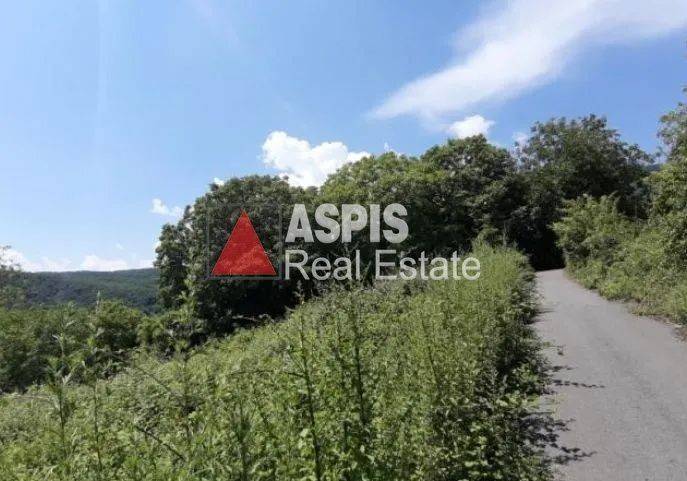 Εξωτερικοι χώροι