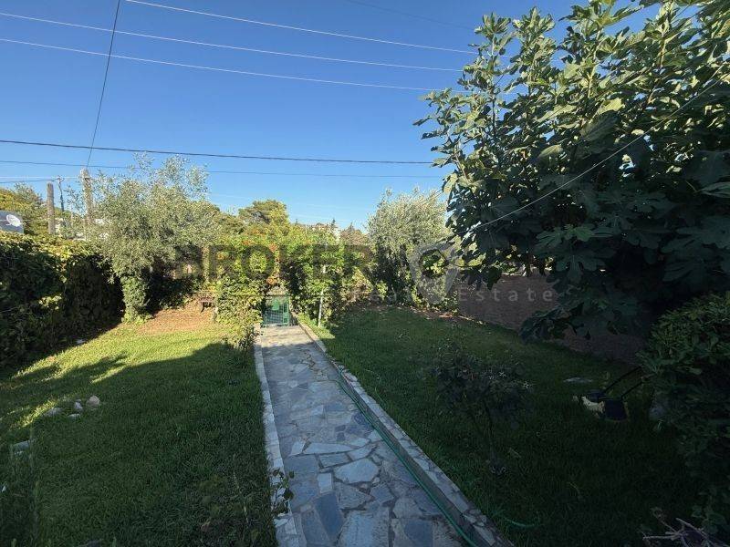 ΑΠΟΨΗ ΚΗΠΟΥ