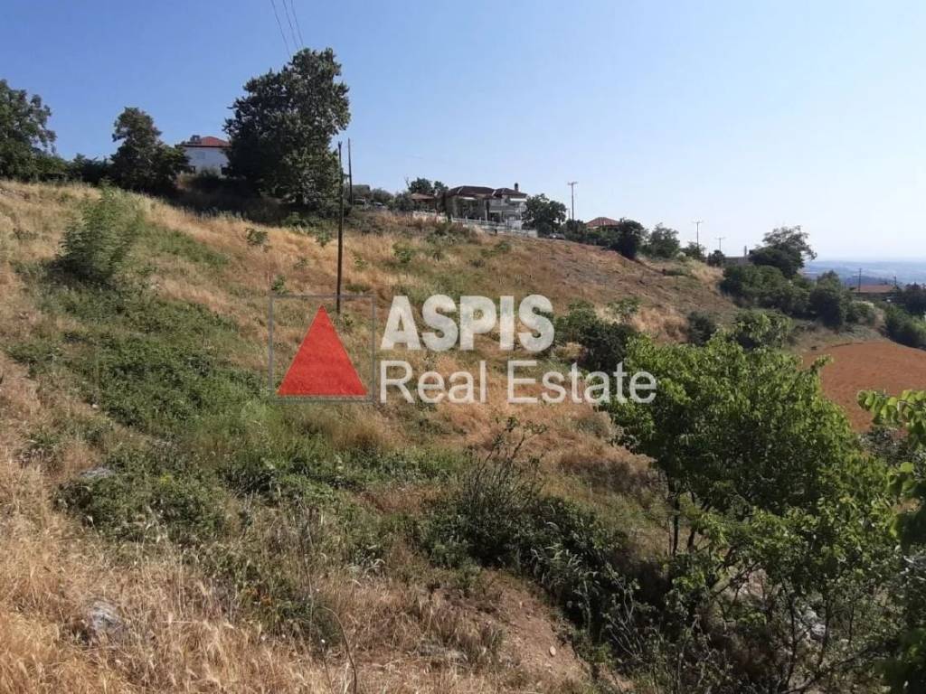 Εξωτερικοι χώροι