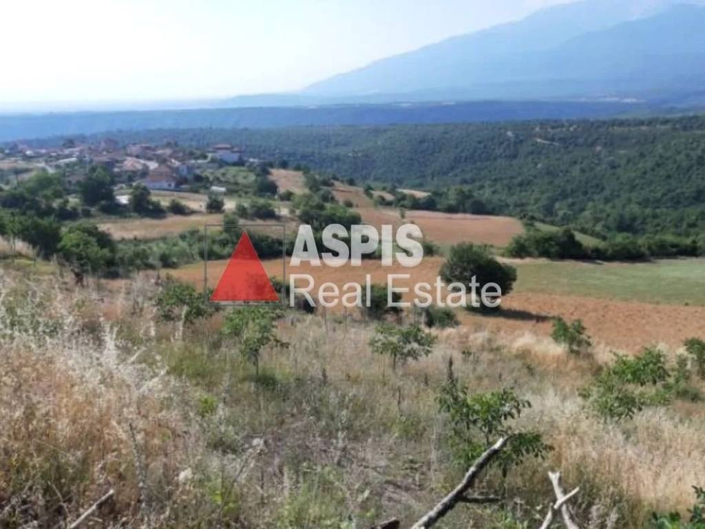 Εξωτερικοι χώροι