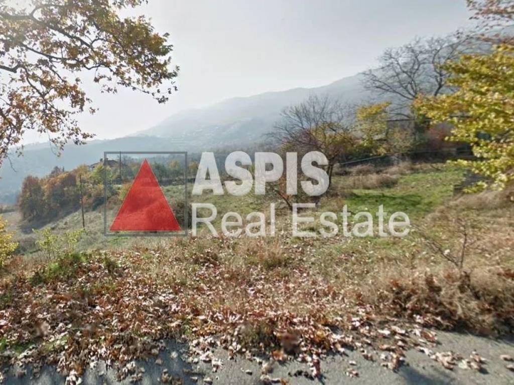 Εξωτερικοι χώροι