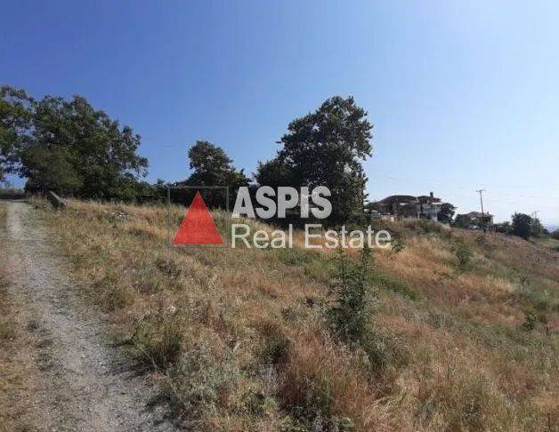 Εξωτερικοι χώροι