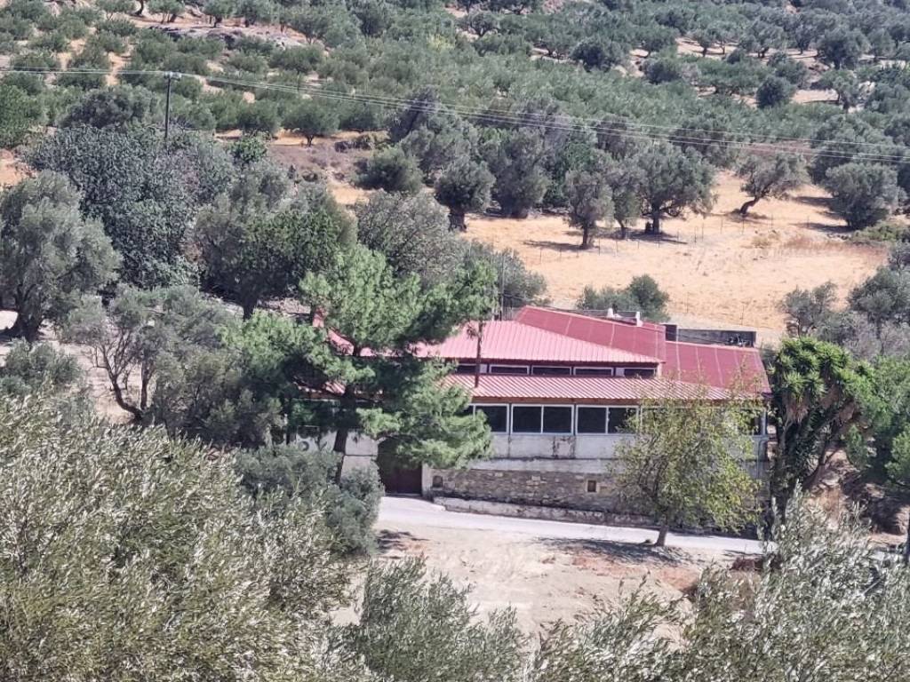 ΚΕΝΤΡΟ ΔΙΑΣΚΕΔΑΣΗΣ