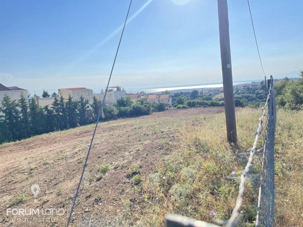 Forumland Real Estate, Αγροτεμάχιο