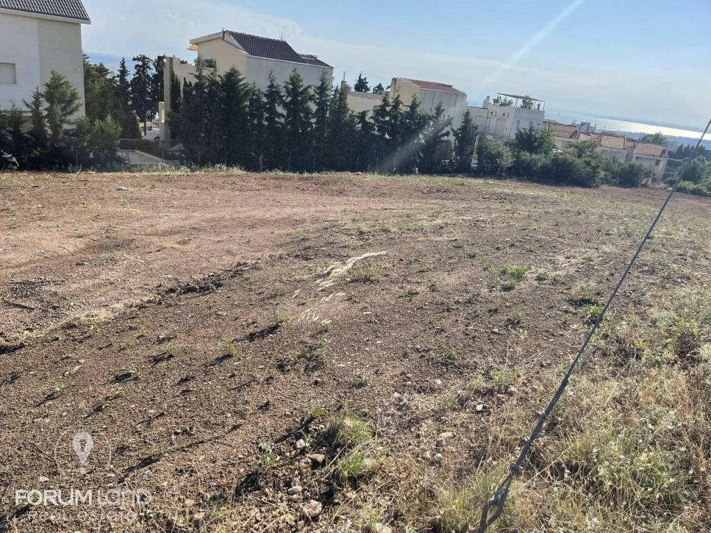 Forumland Real Estate, αγροτεμάχιο