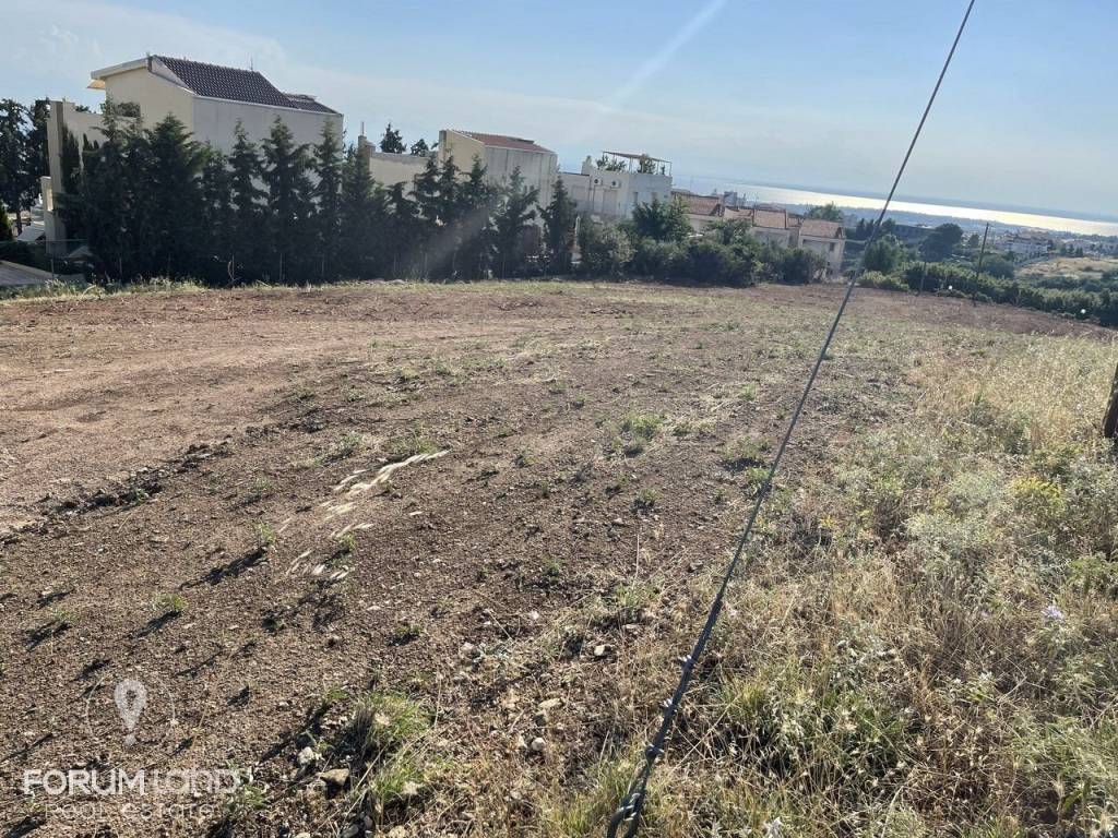 Forumland Real Estate, αγροτεμάχιο