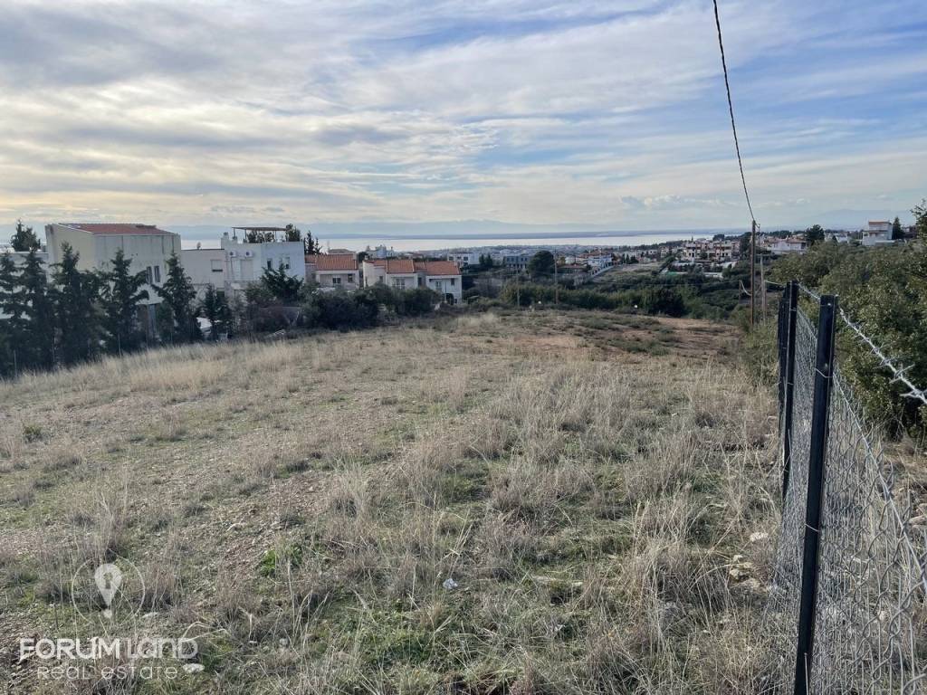 Forumland Real Estate, αγροτεμάχιο