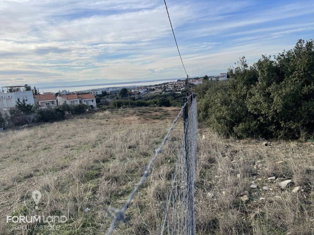 Forumland Real Estate, αγροτεμάχιο