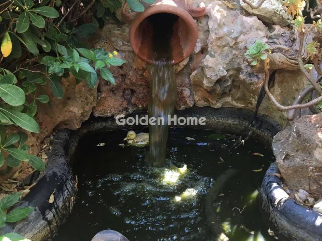 Ανελκυστήρας