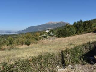 ΑΠΟΨΗ ΑΓΡΟΤΕΜΑΧΙΟΥ