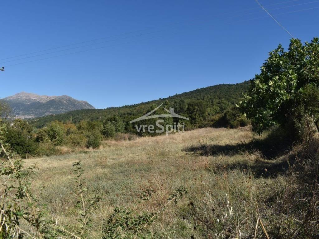 ΑΠΟΨΗ ΑΓΡΟΤΕΜΑΧΙΟΥ