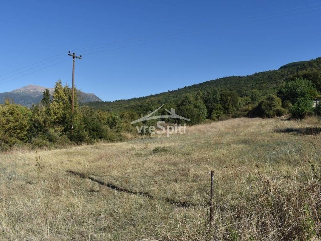 ΑΠΟΨΗ ΑΓΡΟΤΕΜΑΧΙΟΥ