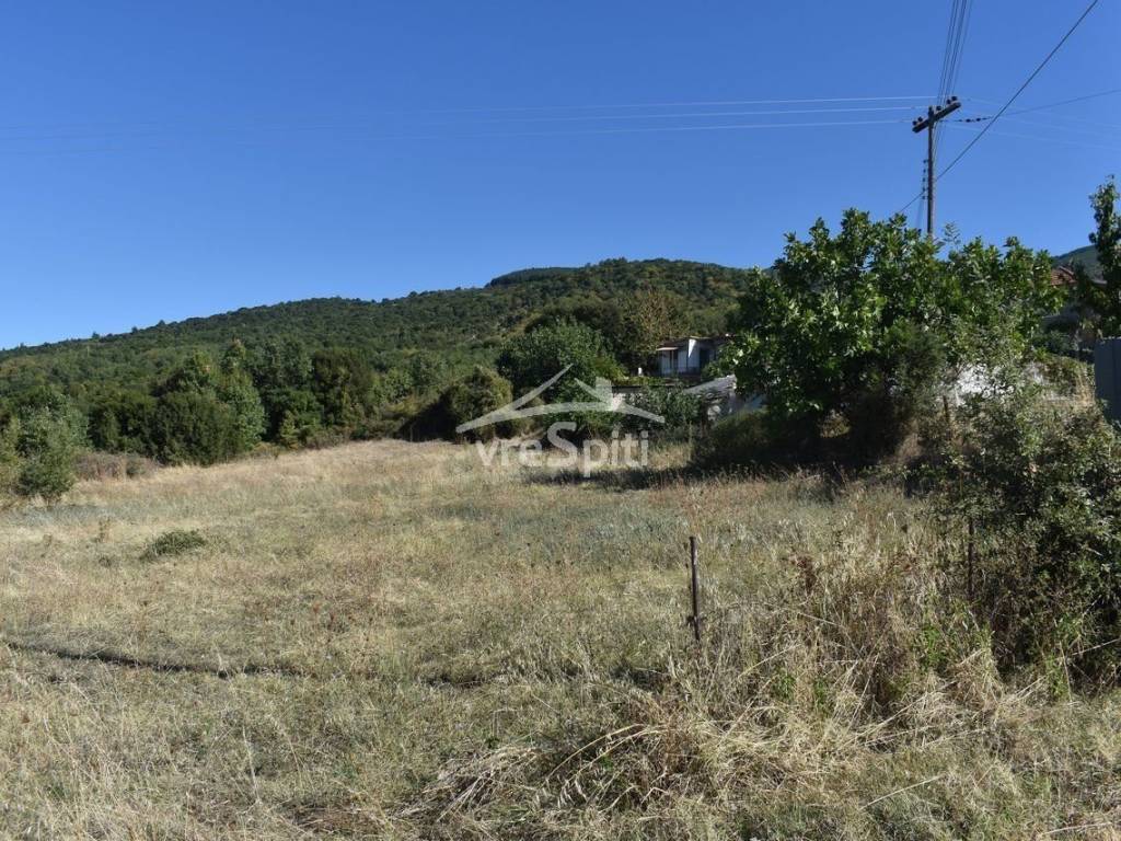 ΑΠΟΨΗ ΑΓΡΟΤΕΜΑΧΙΟΥ