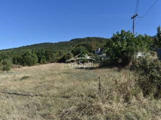 ΑΠΟΨΗ ΑΓΡΟΤΕΜΑΧΙΟΥ