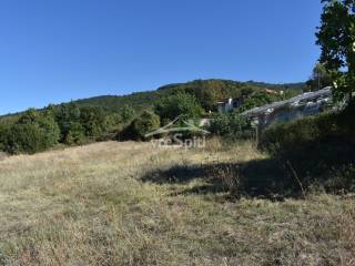 ΑΠΟΨΗ ΑΓΡΟΤΕΜΑΧΙΟΥ