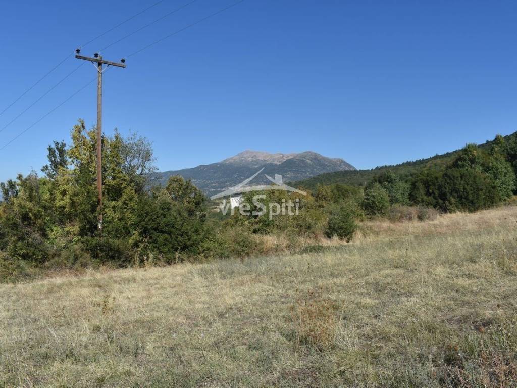 ΑΠΟΨΗ ΑΓΡΟΤΕΜΑΧΙΟΥ