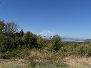 ΑΠΟΨΗ ΑΓΡΟΤΕΜΑΧΙΟΥ