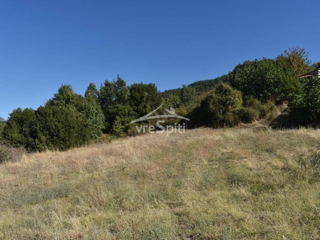 ΑΠΟΨΗ ΑΓΡΟΤΕΜΑΧΙΟΥ