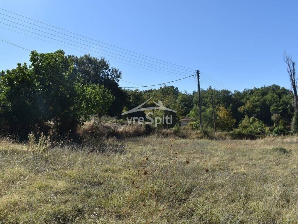 ΑΠΟΨΗ ΑΓΡΟΤΕΜΑΧΙΟΥ