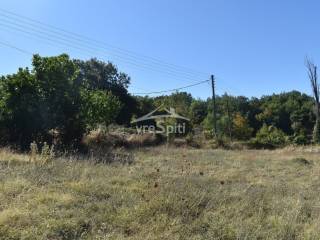 ΑΠΟΨΗ ΑΓΡΟΤΕΜΑΧΙΟΥ