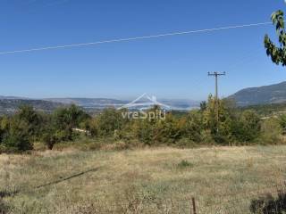 ΑΠΟΨΗ ΑΓΡΟΤΕΜΑΧΙΟΥ