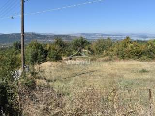 ΑΠΟΨΗ ΑΓΡΟΤΕΜΑΧΙΟΥ