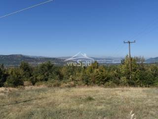 ΑΠΟΨΗ ΑΓΡΟΤΕΜΑΧΙΟΥ