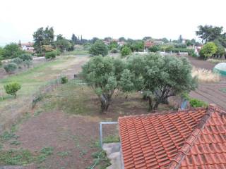 Detached - Grekodom 64260|1014855