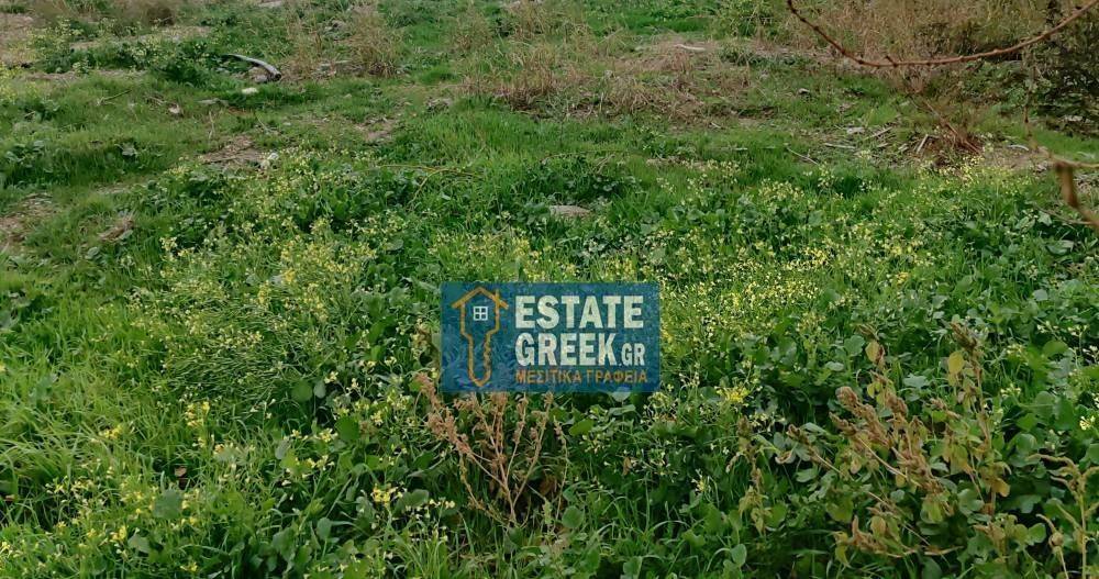 ΠΩΛΕΙΤΑΙ οικόπεδο 795 τ.μ. στην ΝΕΑ ΠΕΡΑΜΟ Καβάλας (κωδ. 5533)
