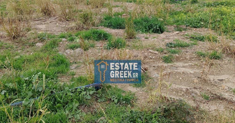 ΠΩΛΕΙΤΑΙ οικόπεδο 795 τ.μ. στην ΝΕΑ ΠΕΡΑΜΟ Καβάλας (κωδ. 5532)