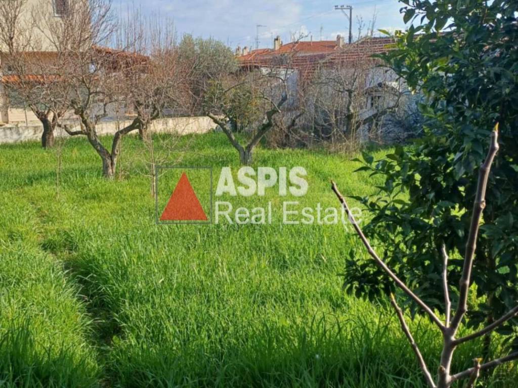 Εξωτερικοι χώροι