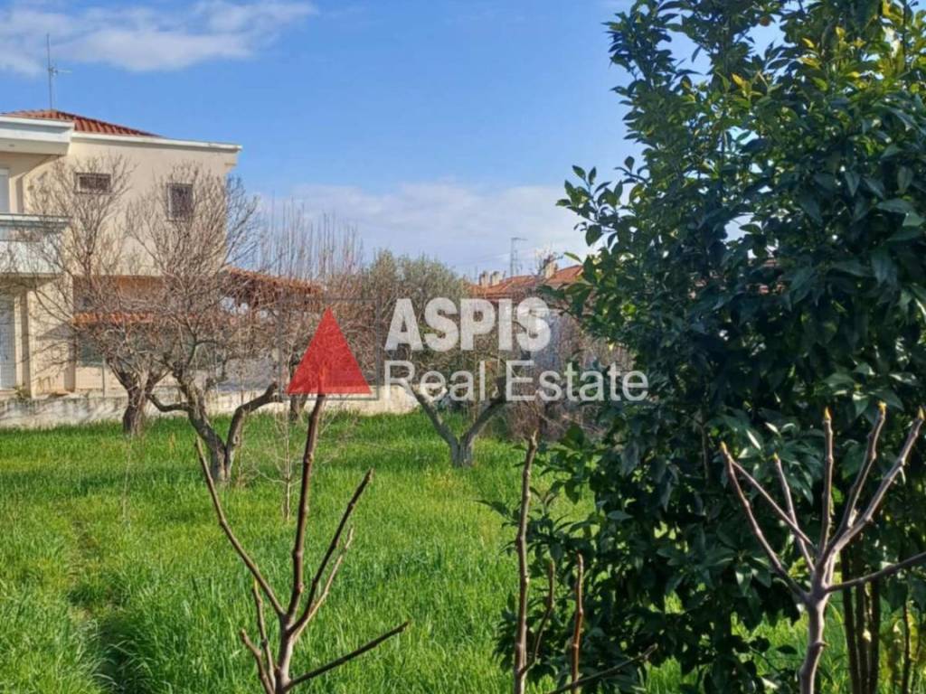 Εξωτερικοι χώροι