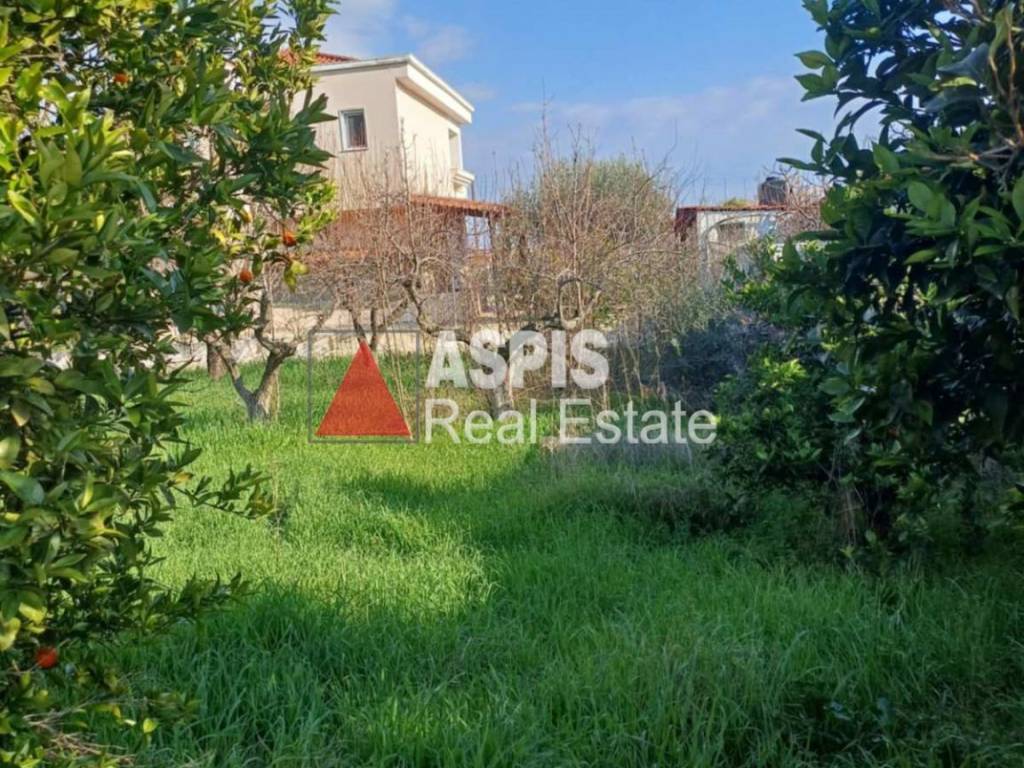 Εξωτερικοι χώροι