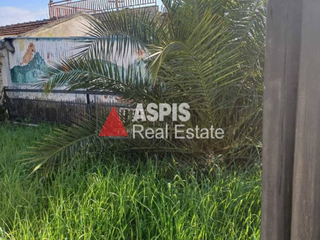 Εξωτερικοι χώροι