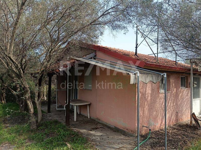 Εξωτερικός χώρος