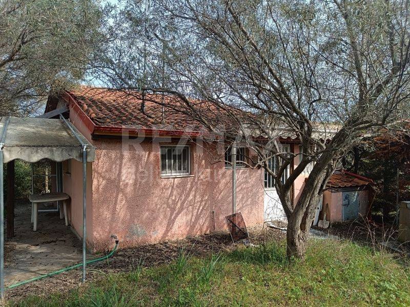 Εξωτερικός χώρος